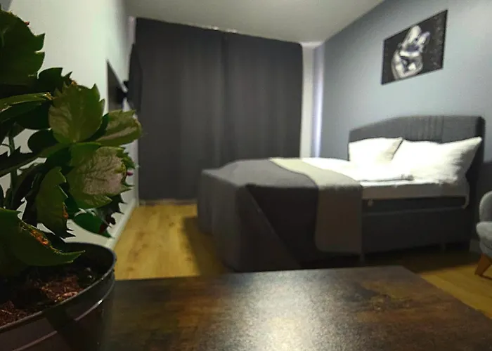 Hotel Delisa